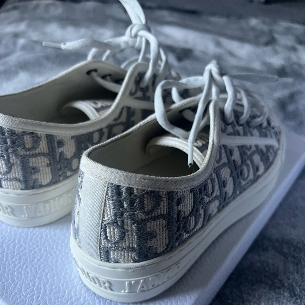 Walk n Dior Shoes